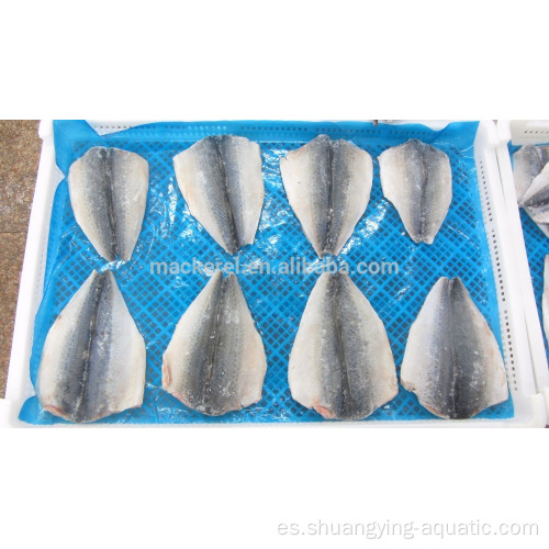 Fílops congelados de la caballa del Pacífico Pescado 70-150G 100-200G